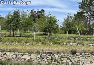 imagem_15