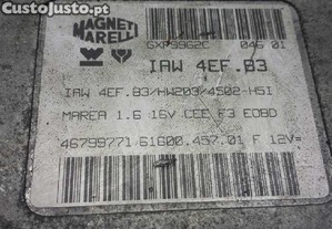 imagem_2