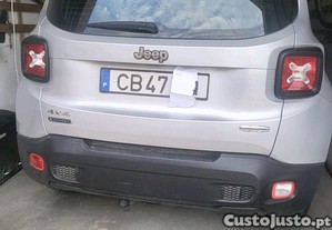 imagem_1