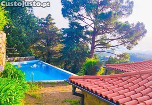 imagem_37