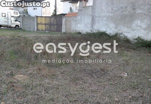 imagem_12