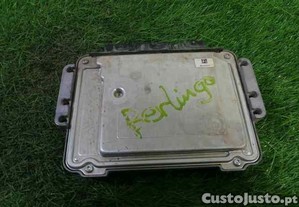 imagem_5