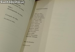 imagem_13