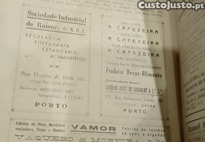 imagem_11