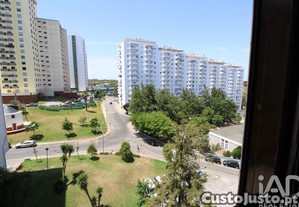 imagem_7