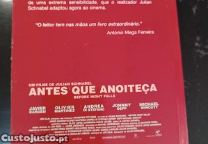 imagem_7