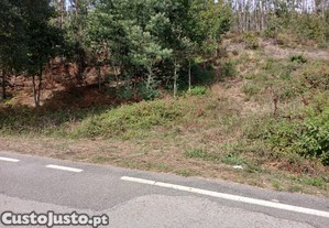 Terreno para Construção