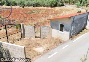 imagem_7