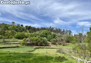imagem_16