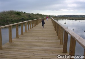 imagem_11