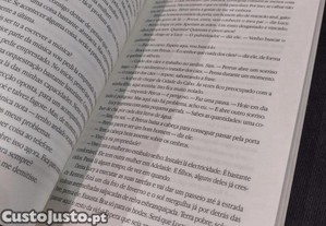 imagem_2
