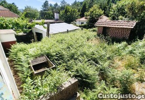 imagem_21