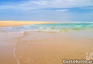 imagem_24