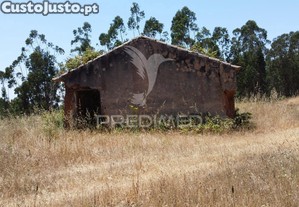 imagem_3
