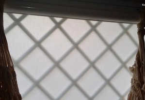 imagem_6