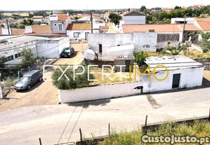 imagem_11