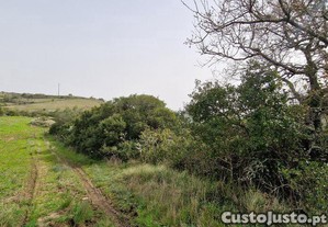 Terreno Agrícola em Igreja Nova e Cheleiros