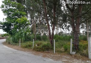 Terreno Para Construo Em Caniceira