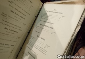 imagem_13