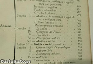 imagem_8