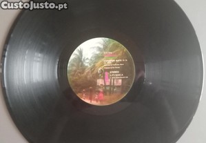 imagem_7