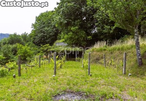 Moradia Com Terreno De 1.450 M², Furo De Água E...