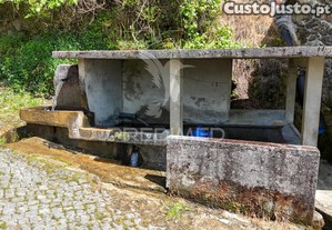 imagem_14