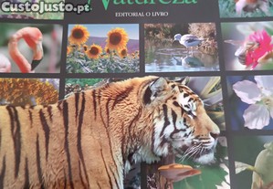 Pginas da Natureza 5 Ano Cincias da Natureza