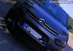 Citron C4 Cactus - 18