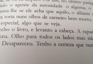 imagem_6
