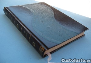 imagem_8