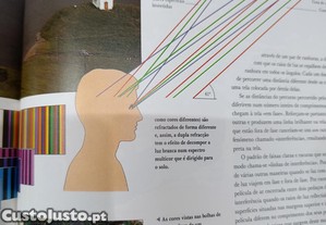 imagem_7