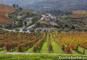 Quinta Do Viso - Peso Da Régua