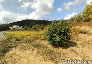 imagem_6