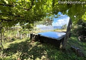 Terreno isolado com água e vinha em produção