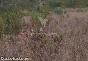 Terreno rústico "cerro da gruta" em odemira.