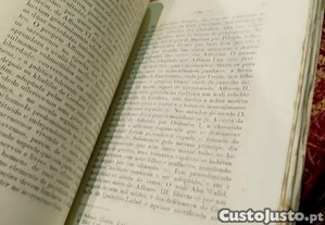 imagem_6