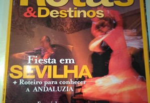 imagem_4