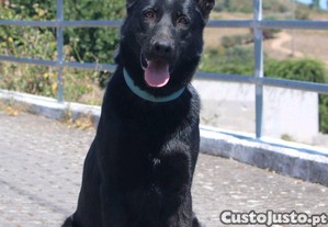 imagem_7