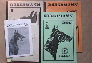 Dobermann - Boletim