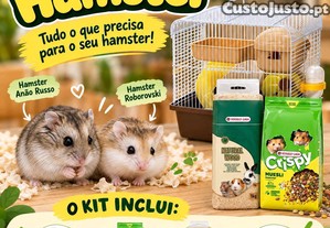 imagem_1