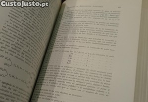 imagem_8