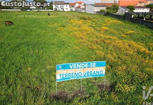 imagem_18