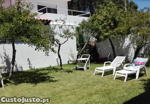imagem_14