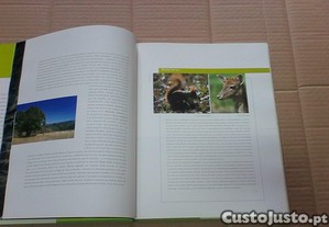 imagem_7