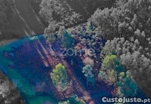 Terreno Rústico Localizado Na Póvoa De Lanhoso