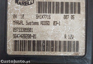 imagem_4