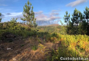 Terreno Com rea De 13.000M2.