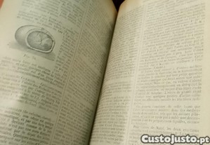 imagem_11