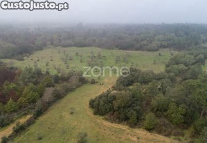 Terreno Agrícola Com 4 Hectares, Vila Nova De...